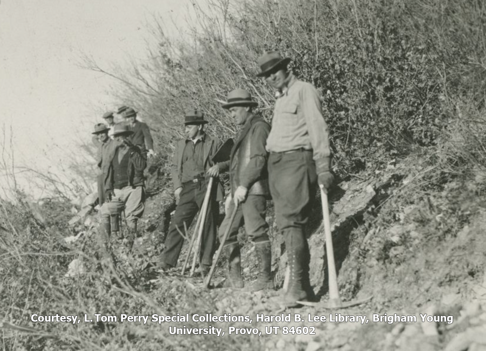 Men with pick axes stand along the trail they are building in this black and white photo.