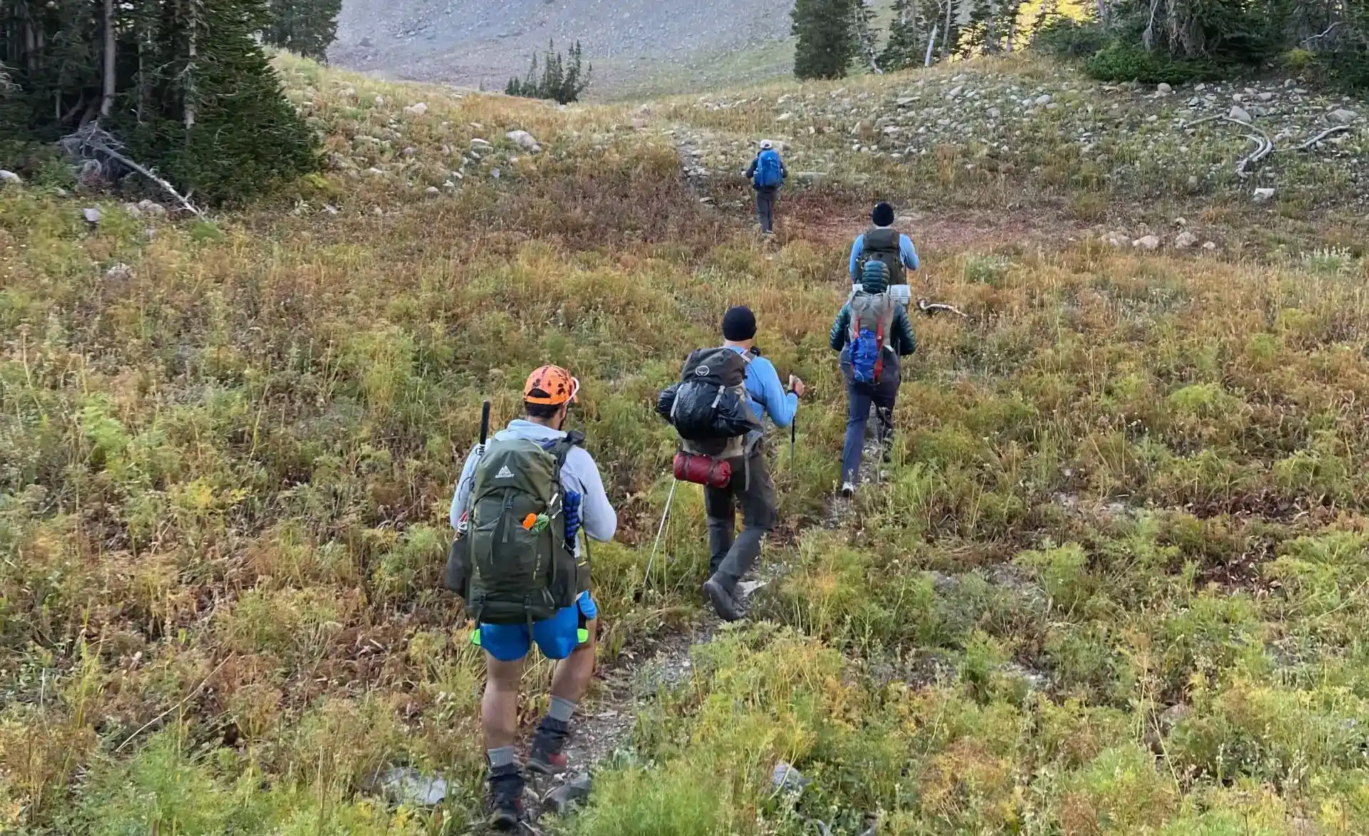 A group of hikers heads down the trail