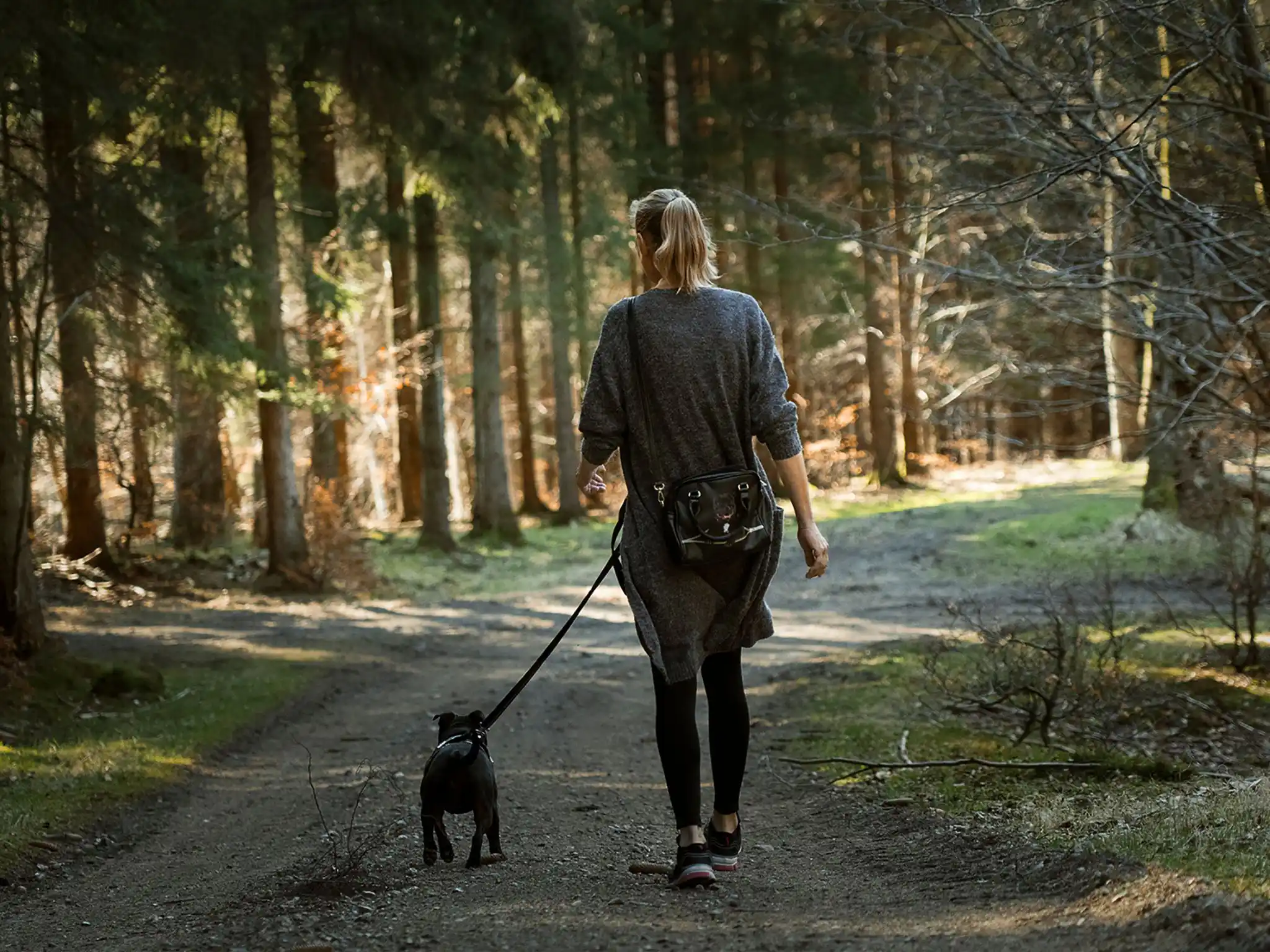 Image Shows a woman walking with a dog on a leash in a forest