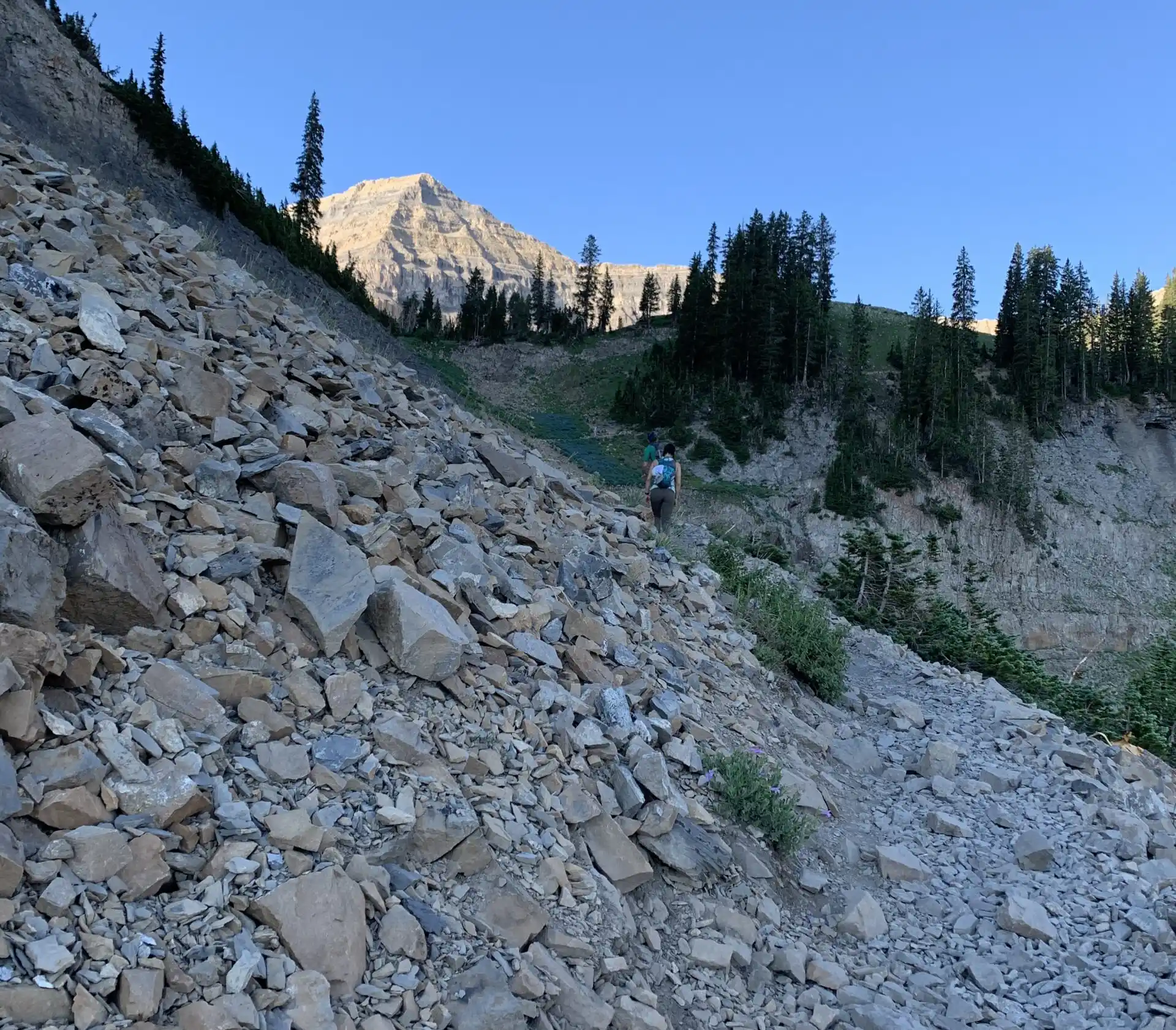 Narrow and rocky trail