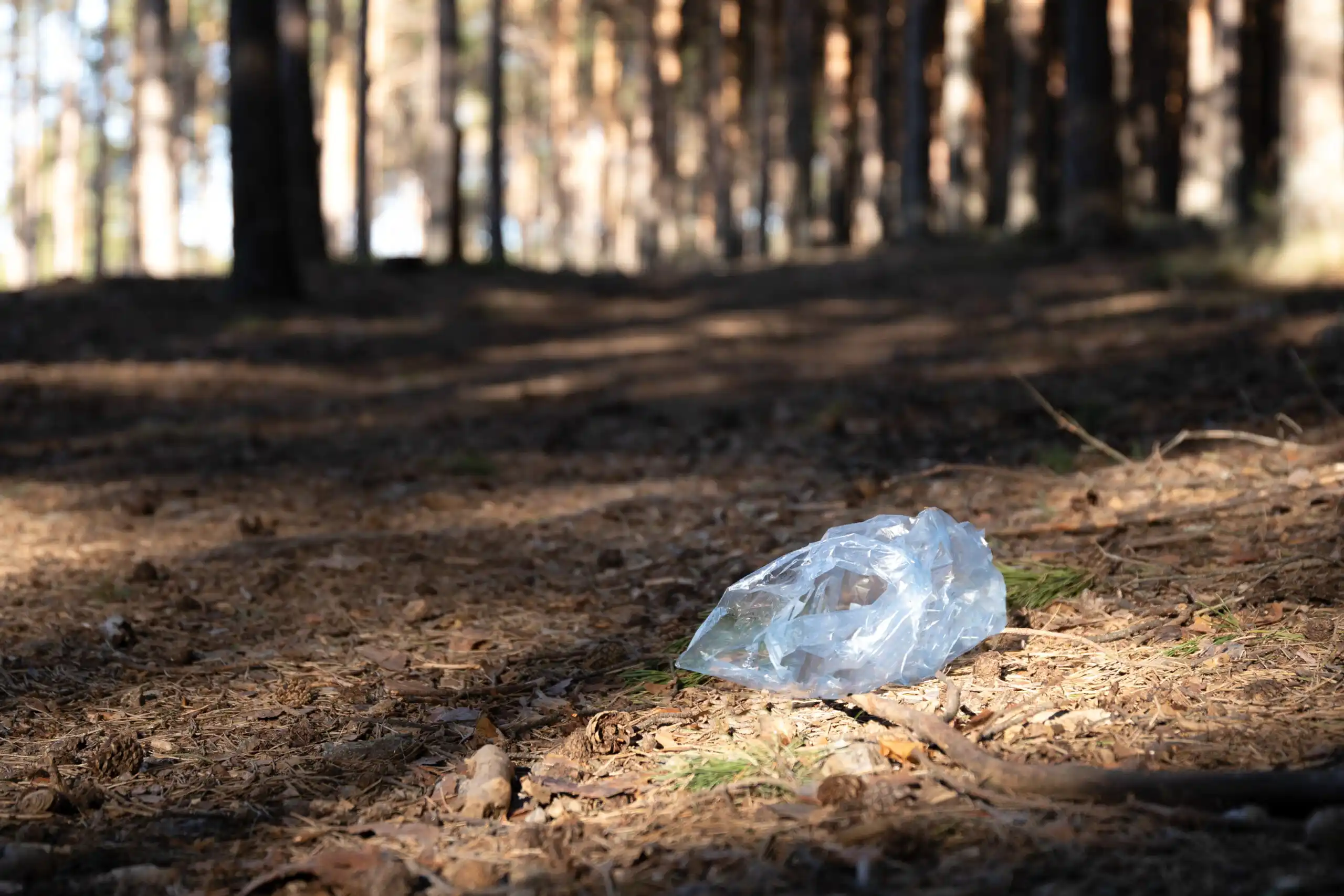 A piece of plastic trash is shown on the ground